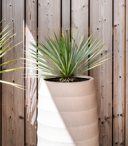 Outdoor planter with wooden garden fence behind