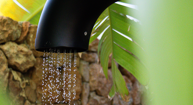 Close-up of black FRISS shower head with falling water and tropical leaves